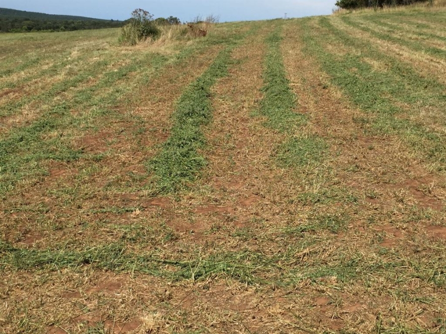 Commercial Property for Sale in Bathurst Eastern Cape